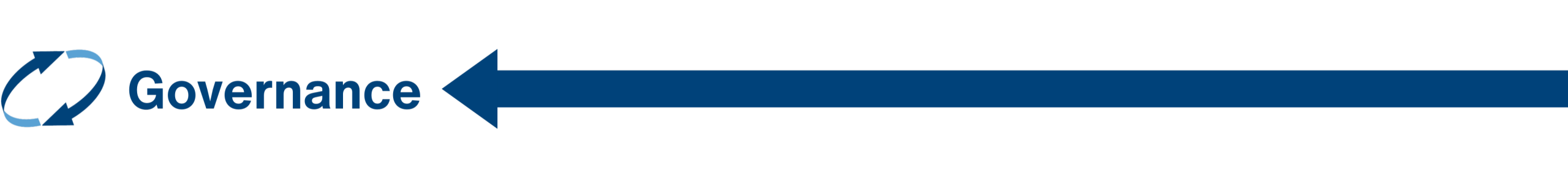 governance governance